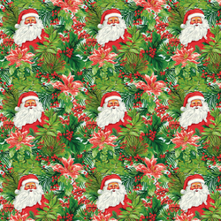 Little Palm Beach Santa in Christmas