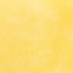 Palette in Little Yellow