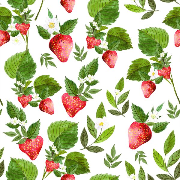 Strawberry Fields in White