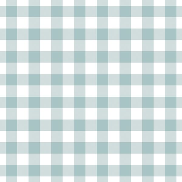 Spring Gingham in Light Blue