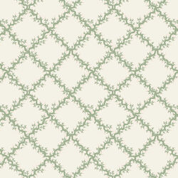 Lattice in Cream