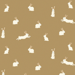Bunny Rabbits in Prairie