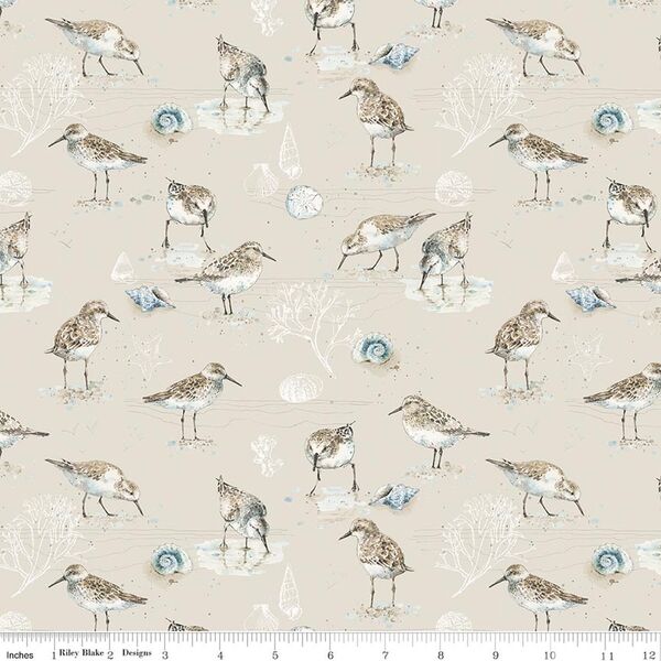 Birds in Beige