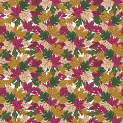 Leaves in Autumn