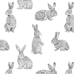 Bunny Hop in Onyx