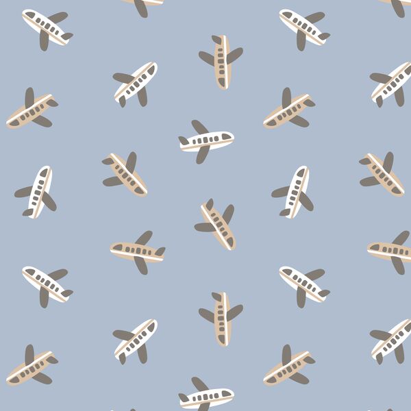 Planes in Evening Sky