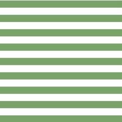 Horizontal Candy Stripe in Pistachio