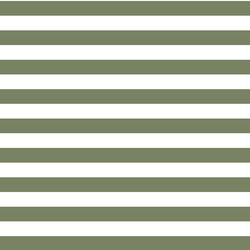Horizontal Candy Stripe in Olive