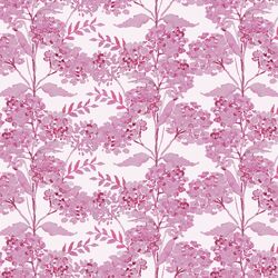 Valerian in Tropical Pink