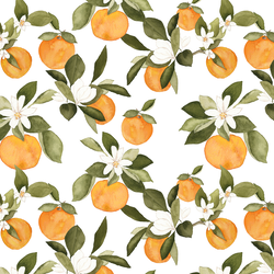 Orange Blossom in Grove