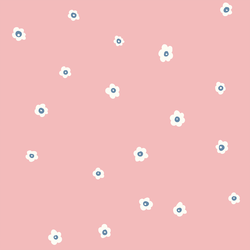 Meadow Daisy in Rose