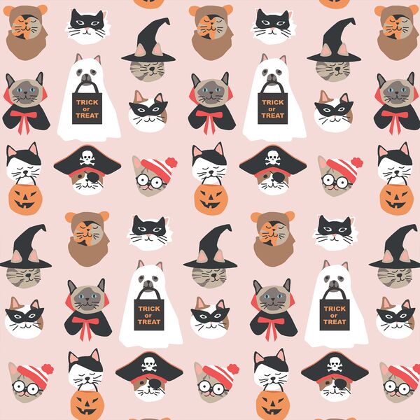 Halloween Cats in Cotton Candy