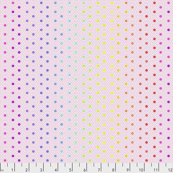 Hexy Rainbow in Shell