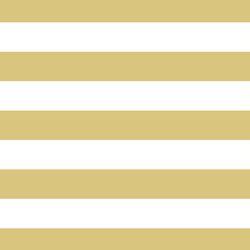 Horizontal Play Stripe in Honey