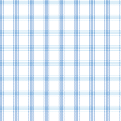 Ticking Check in Sky Blue