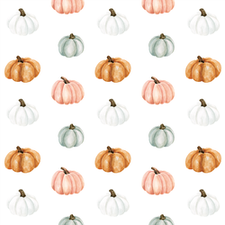 Pumpkins in White