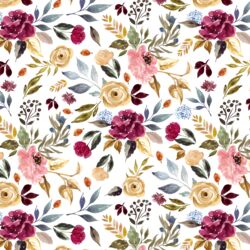 Rose Garden in White