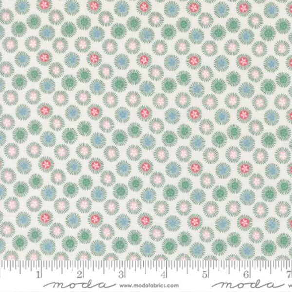 Sand Dollar in Multi