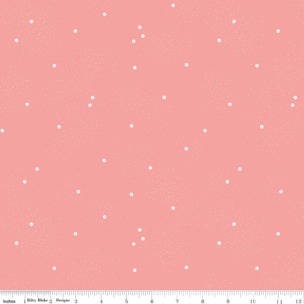 Dainty Daisy in Grapefruit