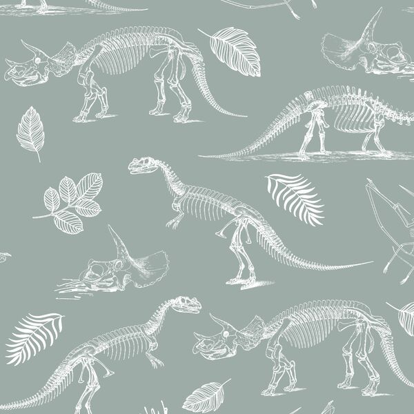 Fossils in Eucalyptus