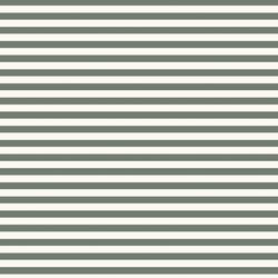 Spring Stripe in Meadow Green
