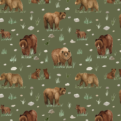 Grizzly Bears in Fern