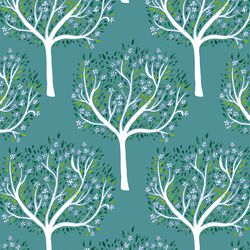 Forest Trees in Glade