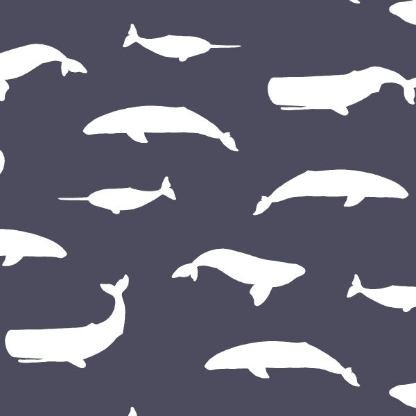 Whale Silhouette in Ink