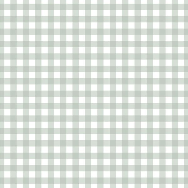 Little Gingham in Mint