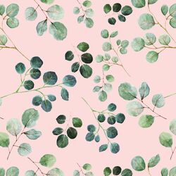 Eucalyptus Leaf in Soft Petal