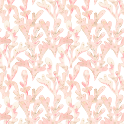 Ocean Garden in Coral