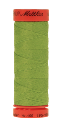 Erin Green (9161-0256) - Metrosene - 164 Yards