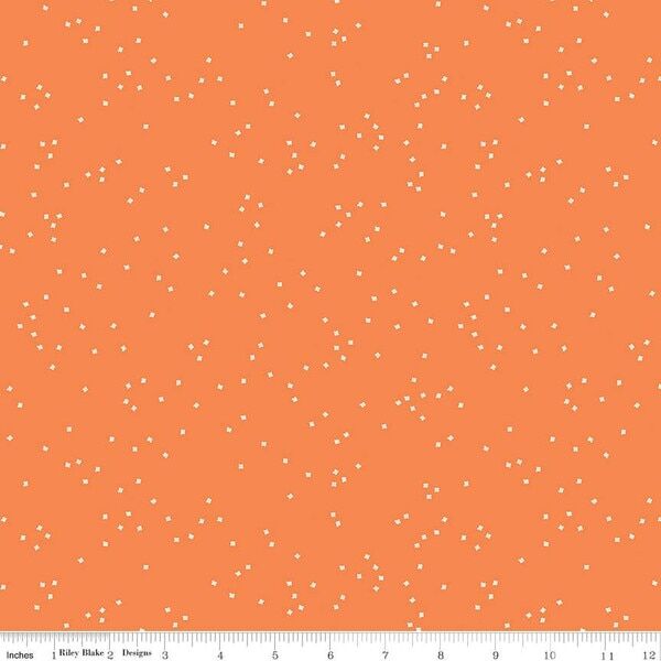 Blossom in Pumpkin