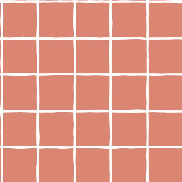 Windowpane in Desert Rose