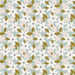 Small Poinsettia in Multi