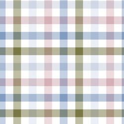 Gingham in Leiden