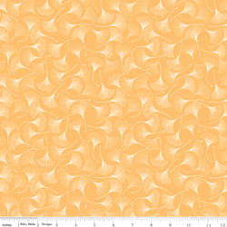Ginkgos in Daisy