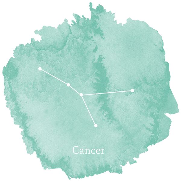 Cancer Sign Panel in Succulent