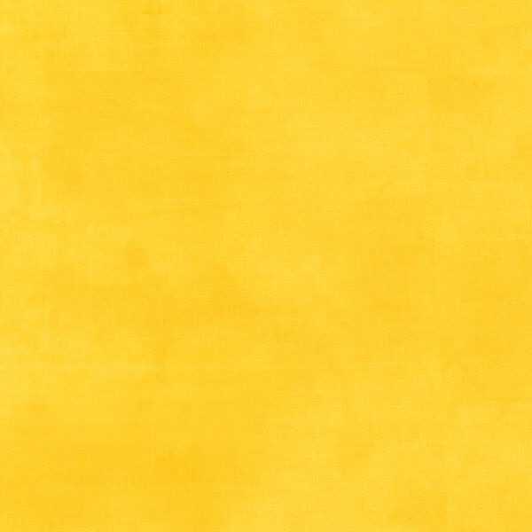Palette in Lemon Zest