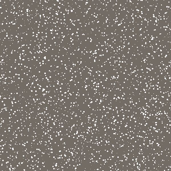 Stardust in Stone
