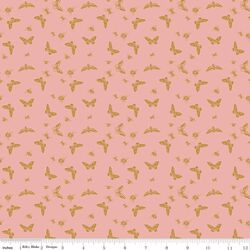 Flutter in Coral