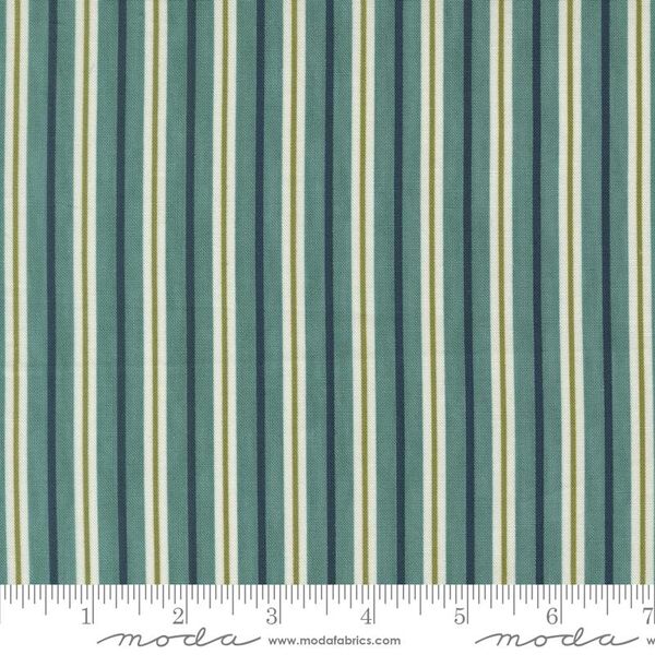 Coastal Stripe in Aqua
