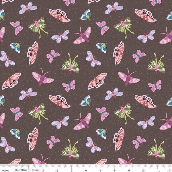 Moths in Brown