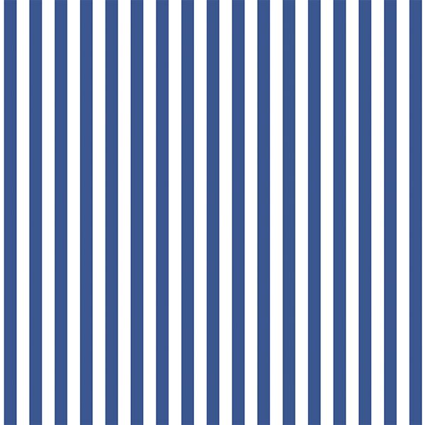 Dress Stripe in Blue Jay