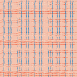 Summertime Plaid in Rosy