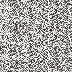 Small Leopard in Autumn Brown on White