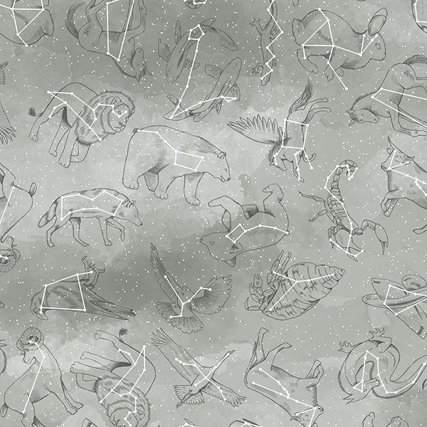 Constellations in Sage