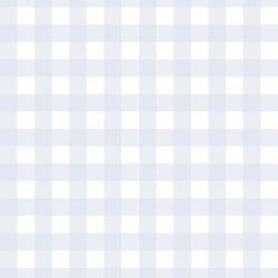 Spring Gingham in Nimbus Blue