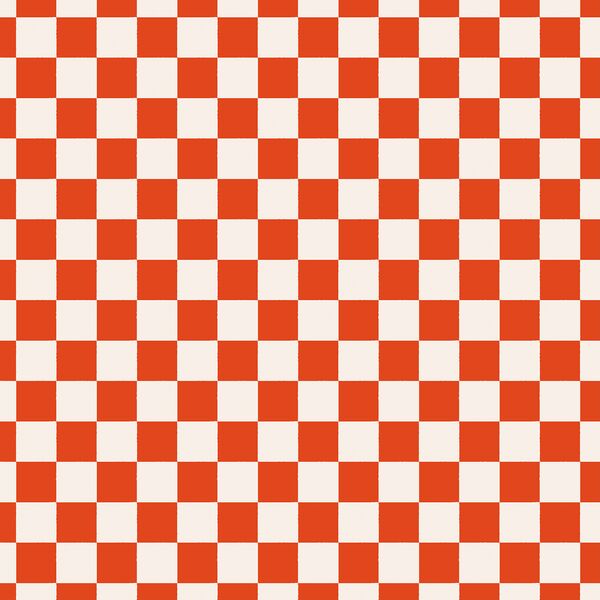 Picnic Blanket in Strawberry Red