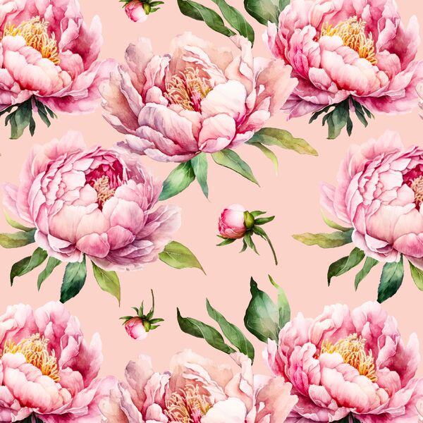 Bouquet of Peonies in Pink Petal